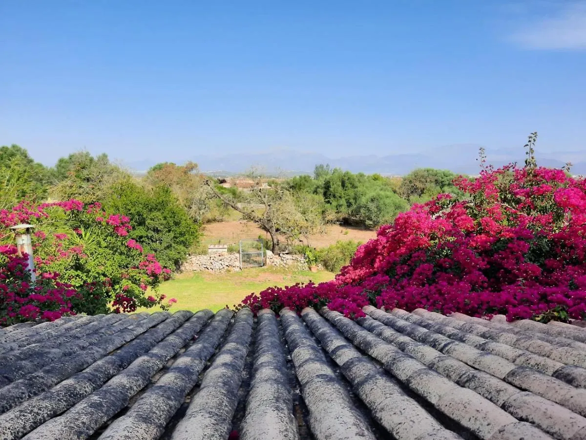 Finca Holisa Villa Muro Spain